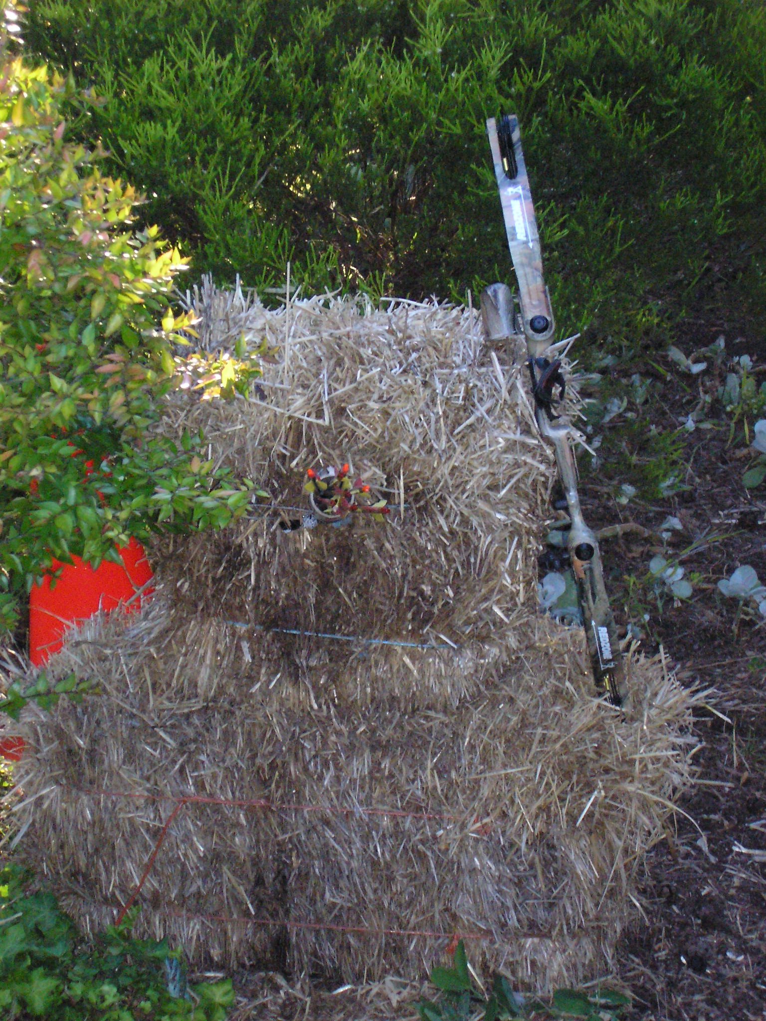 Archery Trick Shots